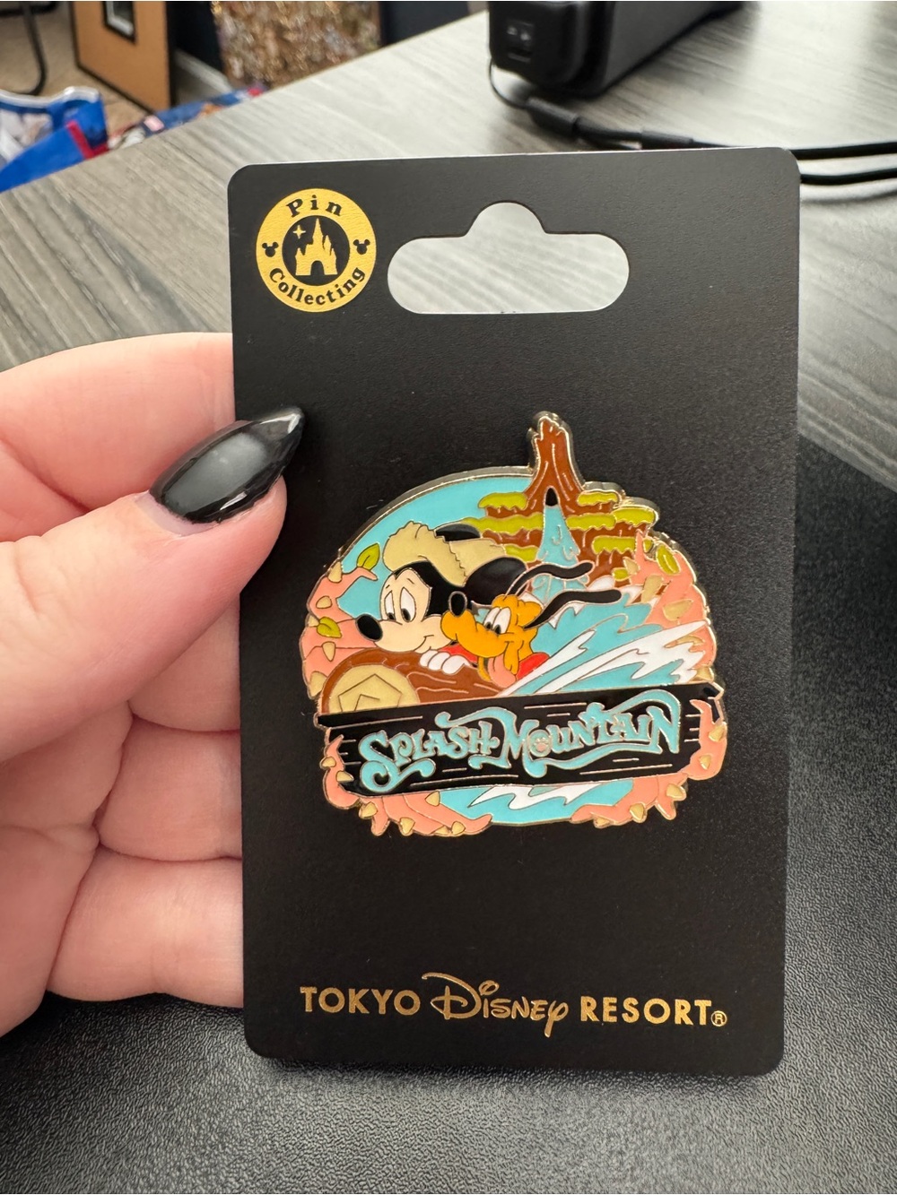 Japan Tokyo Disney Resort Mickey Pluto Pin Badge Splash Mountain